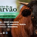 feira de gravão 2025.jpg